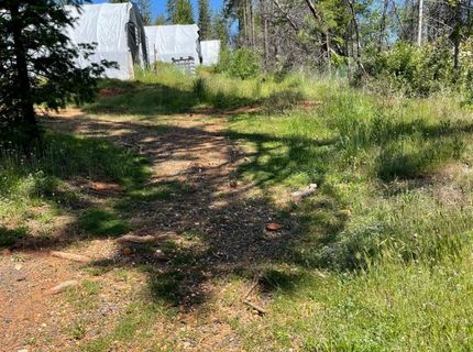 35 Yancey, Berry Creek, CA 95916 Photo