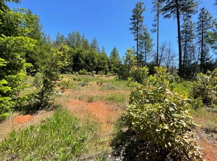 35 Yancey, Berry Creek, CA 95916 Photo