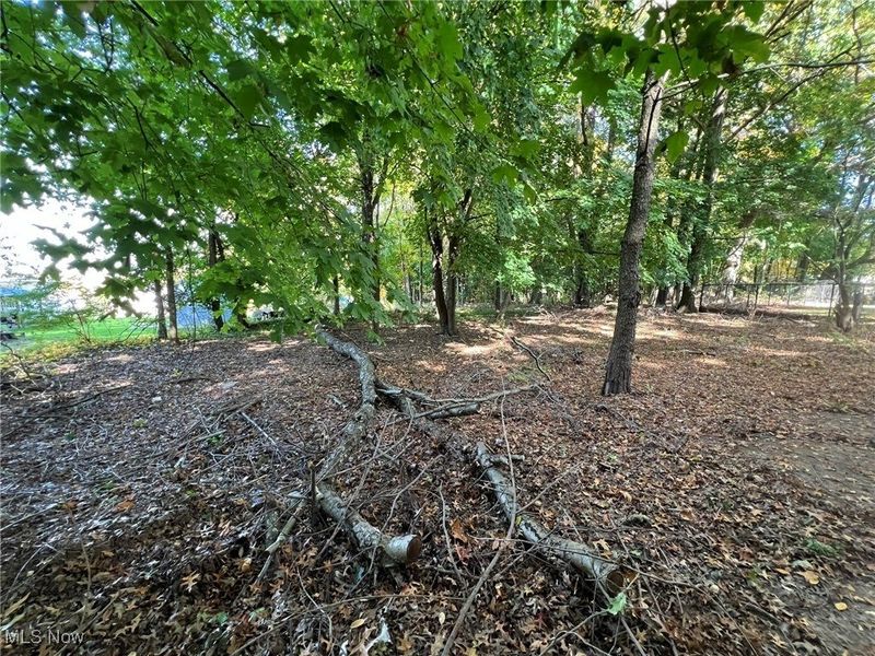 776 Kraus Court, Akron, OH 44307 Photo 4