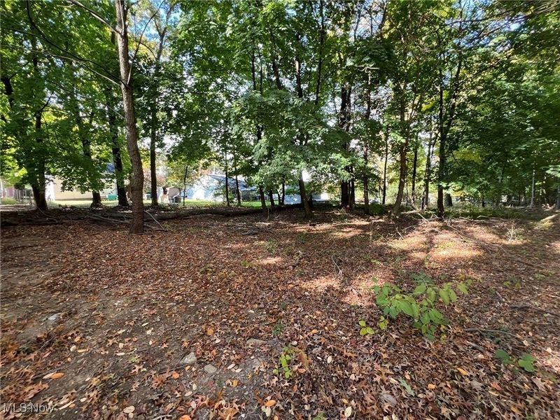 776 Kraus Court, Akron, OH 44307 Photo 5