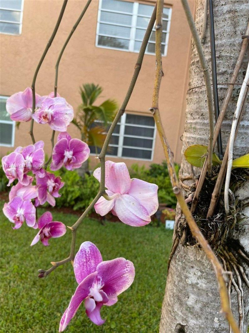 3050 E Sunrise Lakes Dr, Unit 324, Sunrise, FL 33322 Photo