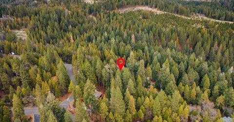 3988 Pearl Rd, Pollock Pines, CA 95726 Photo
