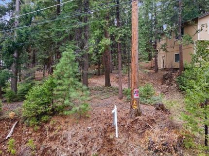 3988 Pearl Rd, Pollock Pines, CA 95726 Photo