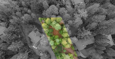 3988 Pearl Rd, Pollock Pines, CA 95726 Photo