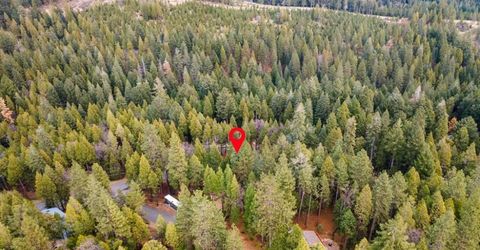 3988 Pearl Rd, Pollock Pines, CA 95726 Photo