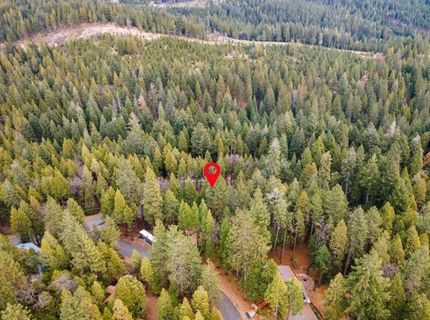 3988 Pearl Rd, Pollock Pines, CA 95726 Photo