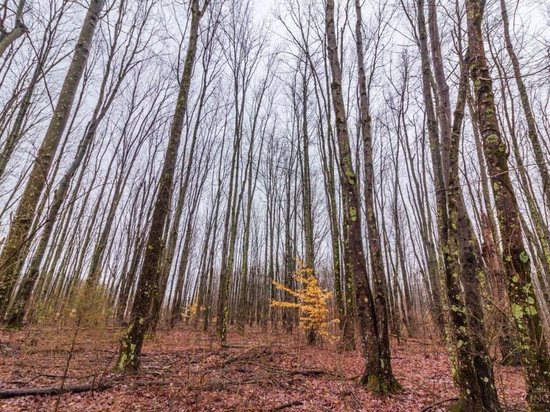 0 Yuma Drive, Unit 3686, Jackson Twp, OH 45171 Photo 7