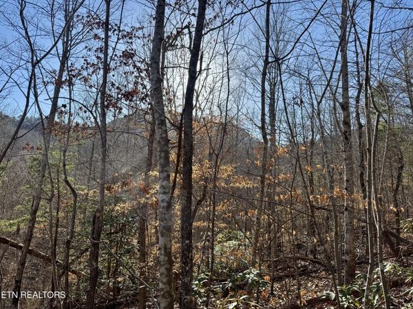 Gibson Hollow. 2.33 acres Rd, Sevierville, TN 37876