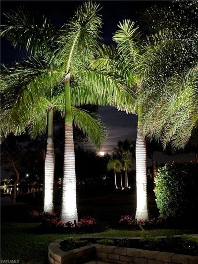 13447 Golden Palms Cir, Fort Myers, FL 33913 Photo