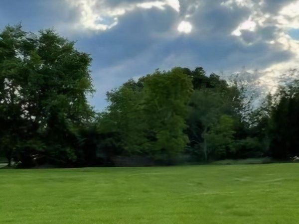 3231 Gethings Road, Battle Creek, MI 49015