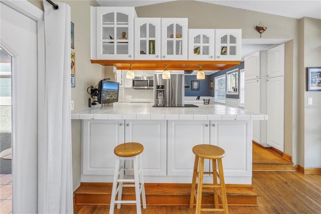 540 Villagrande Avenue S, Saint Petersburg, FL 33707 Photo