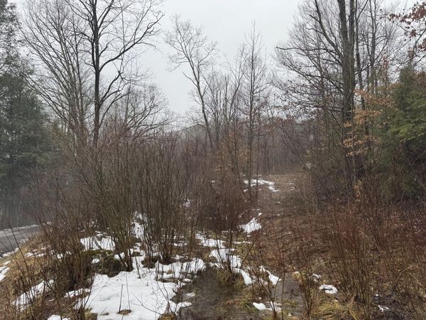 727 Curtain Rd, Craigsville, WV 26205