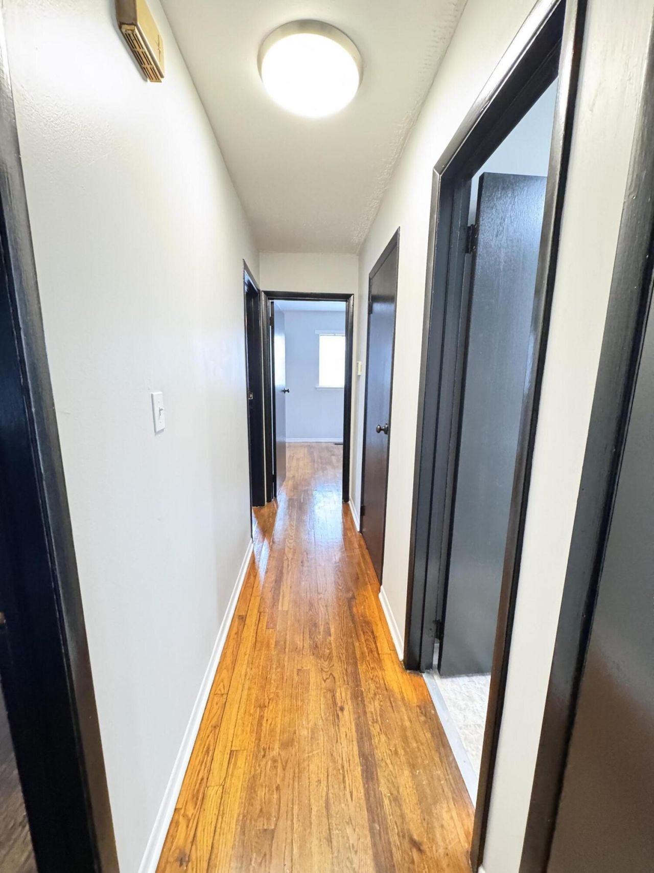 227 Bailey Street Photo 10