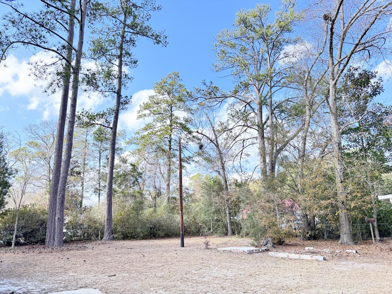 227 Bailey Street Photo 25