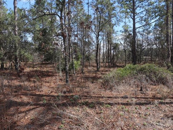 2251 NW BUENA VISTA ROAD, DUNNELLON, FL 34431