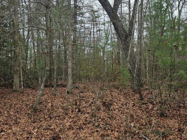 5053 Broken Bow Dr, Crossville, TN 38572