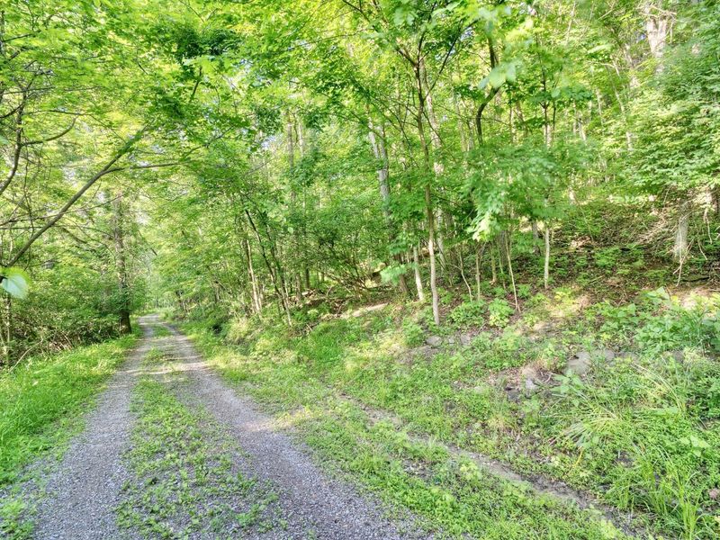 12376 Ryle Road, Union, KY 41091 Photo 17