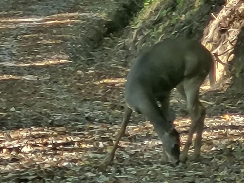 12376 Ryle Road, Union, KY 41091 Photo 18