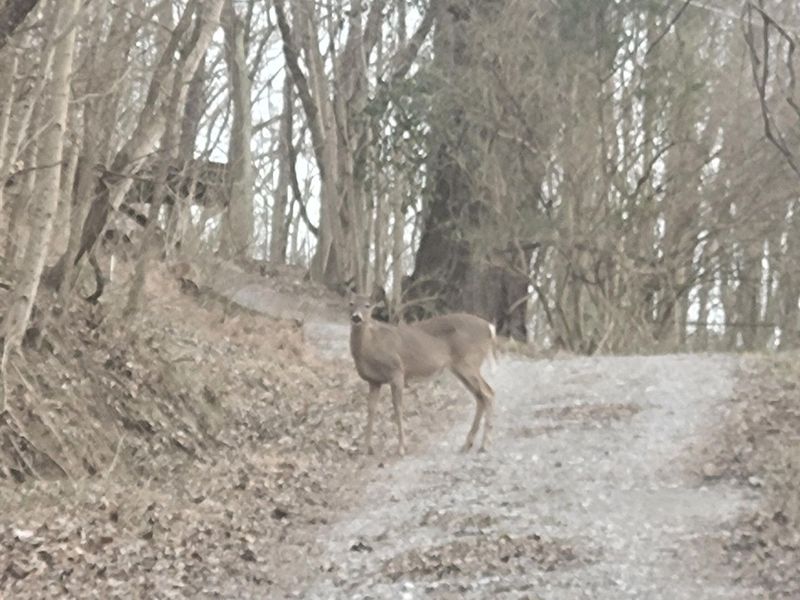 12376 Ryle Road, Union, KY 41091 Photo 20