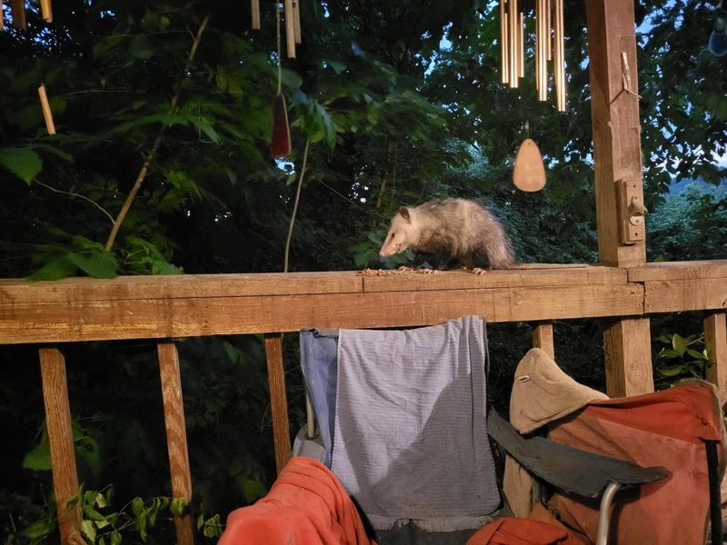 12376 Ryle Road, Union, KY 41091 Photo 21