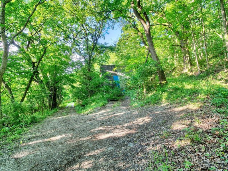 12376 Ryle Road, Union, KY 41091 Photo 8