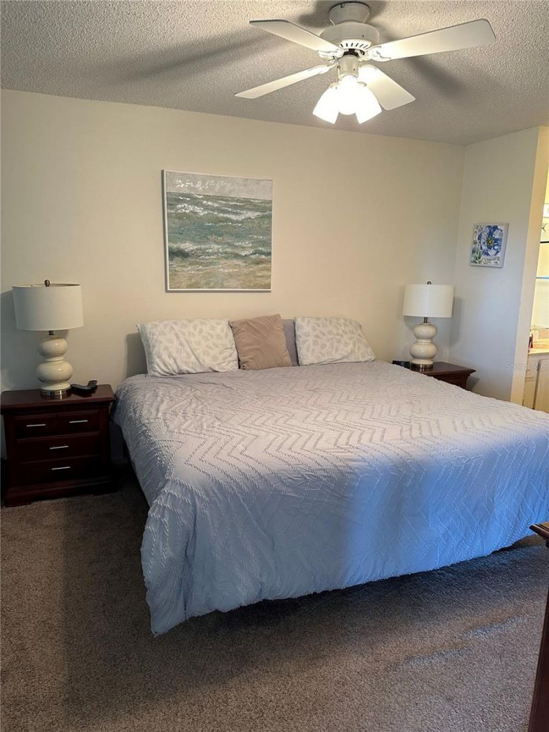 6219 Palma Del Mar Boulevard S, Unit 210, Saint Petersburg, FL 33715 Photo