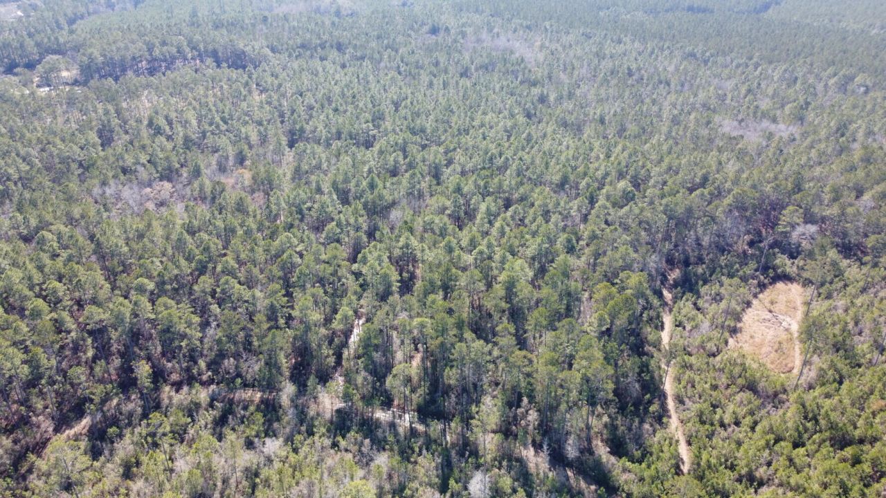 18 Rehoboth Road Photo 3