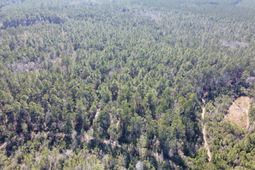 18 Rehoboth Road photo 4