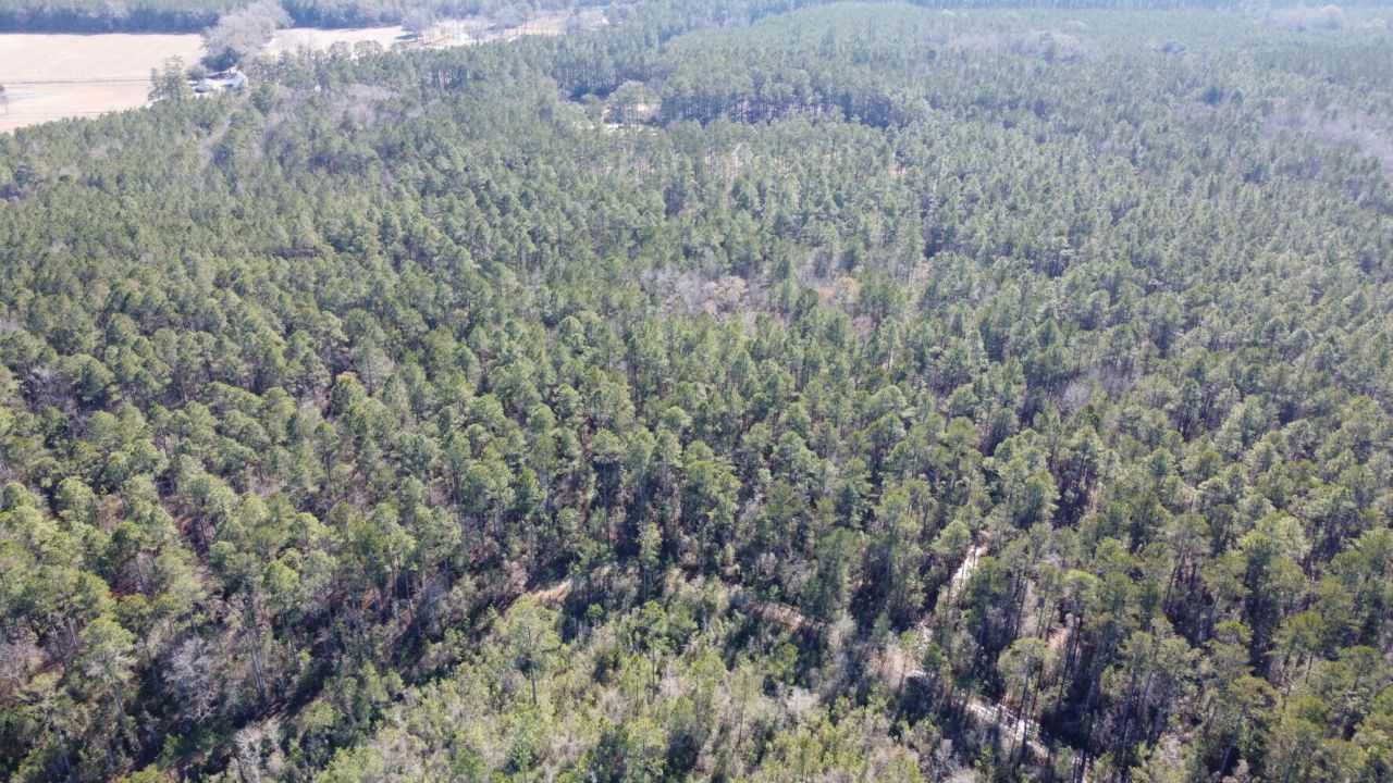 18 Rehoboth Road Photo 4