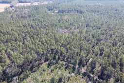 18 Rehoboth Road photo 4