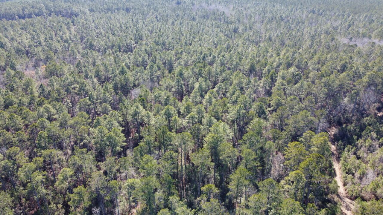 18 Rehoboth Road Photo 5