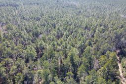 18 Rehoboth Road photo 4