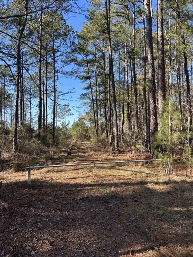 18 Rehoboth Road Photo 6