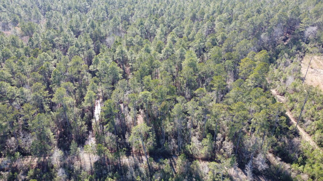 18 Rehoboth Road Photo 7