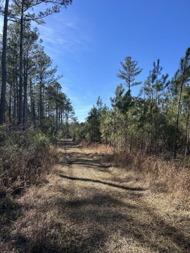 18 Rehoboth Road Photo 8