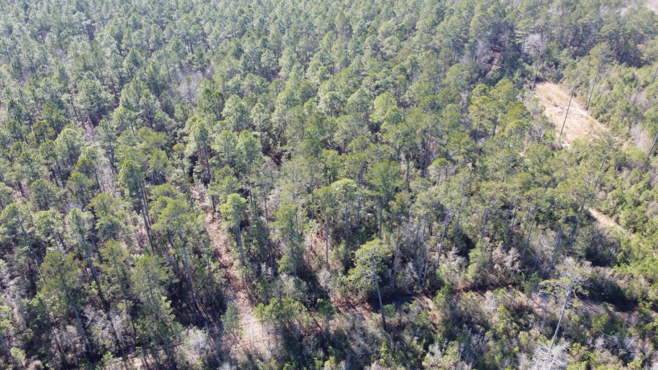 18 Rehoboth Road Photo 9