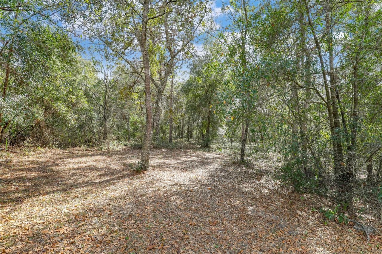 7120 Gas Line Road, Keystone Heights, FL 32656 Photo