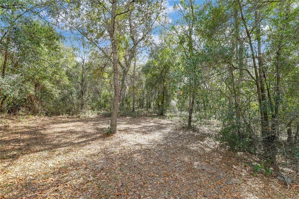 7120 Gas Line Road, Keystone Heights, FL 32656 Photo