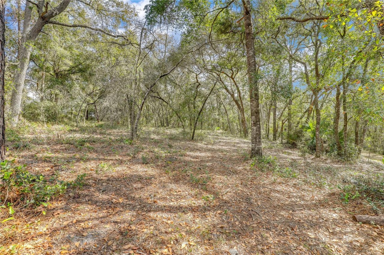 7120 Gas Line Road, Keystone Heights, FL 32656 Photo