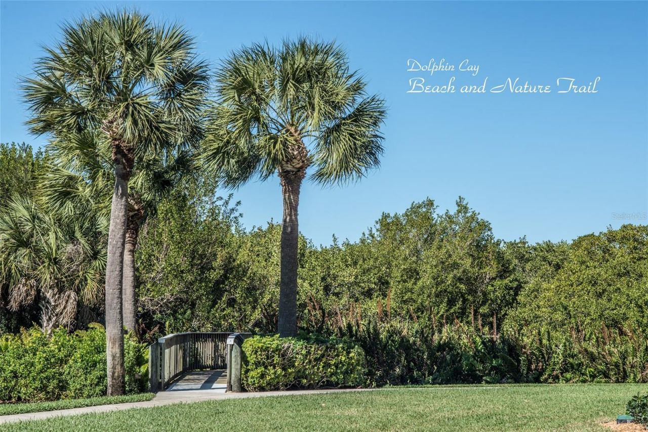 4801 Osprey Drive S, Unit 209, Saint Petersburg, FL 33711 Photo