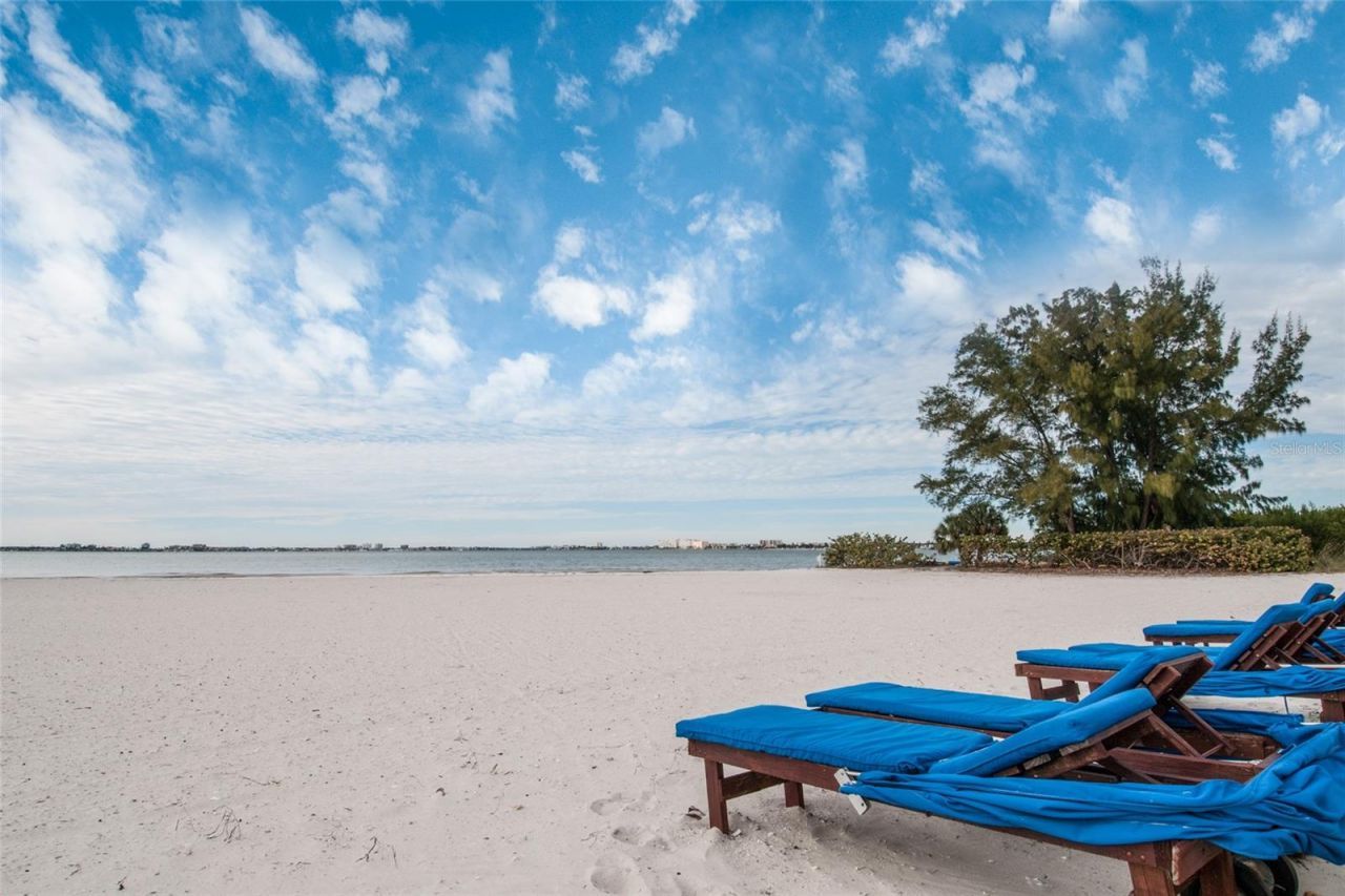 4801 Osprey Drive S, Unit 209, Saint Petersburg, FL 33711 Photo