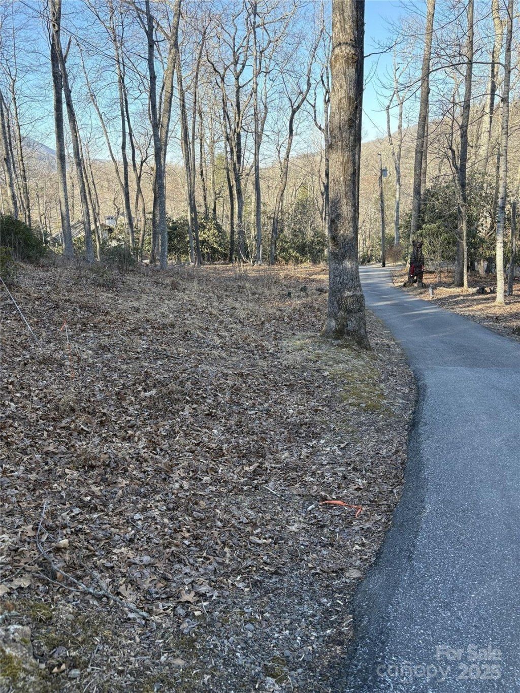 000 Fairway Loop, Burnsville, NC 28714 Main Photo