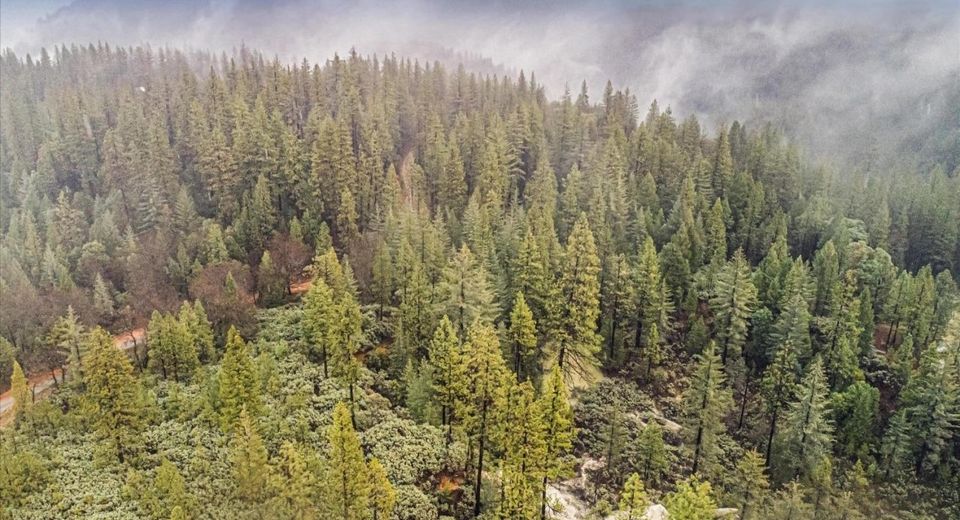 16841 Patterson Mine Rd, Nevada City, CA 95959 Photo