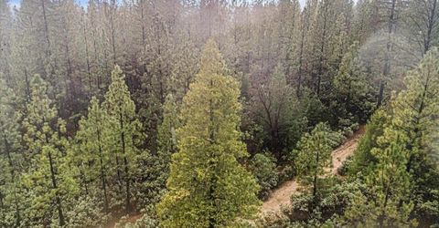 16841 Patterson Mine Rd, Nevada City, CA 95959 Photo