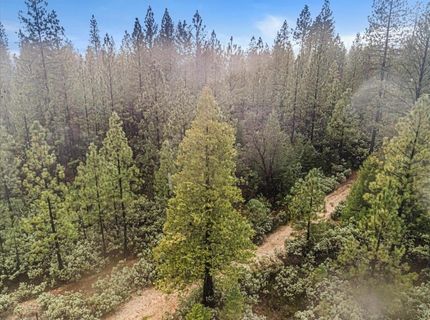 16841 Patterson Mine Rd, Nevada City, CA 95959 Photo