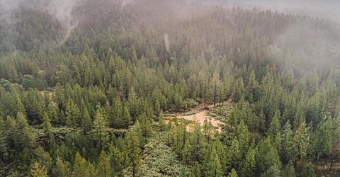 16841 Patterson Mine Rd, Nevada City, CA 95959 Photo