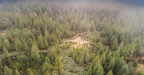 16841 Patterson Mine Rd, Nevada City, CA 95959 Photo