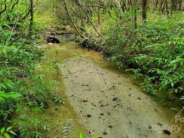 755 Hamilton Drive, Columbus, NC 28722