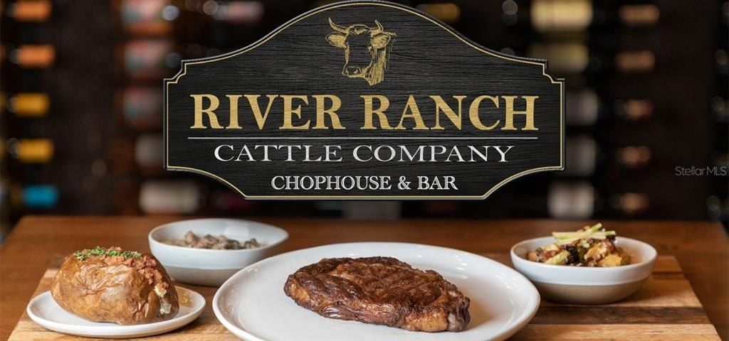 253 Saddle Lane, River Ranch, FL 33867 Photo