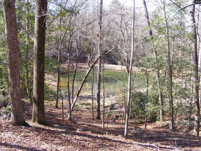 0 Great Circle Drive, St. Matthews, SC 29135